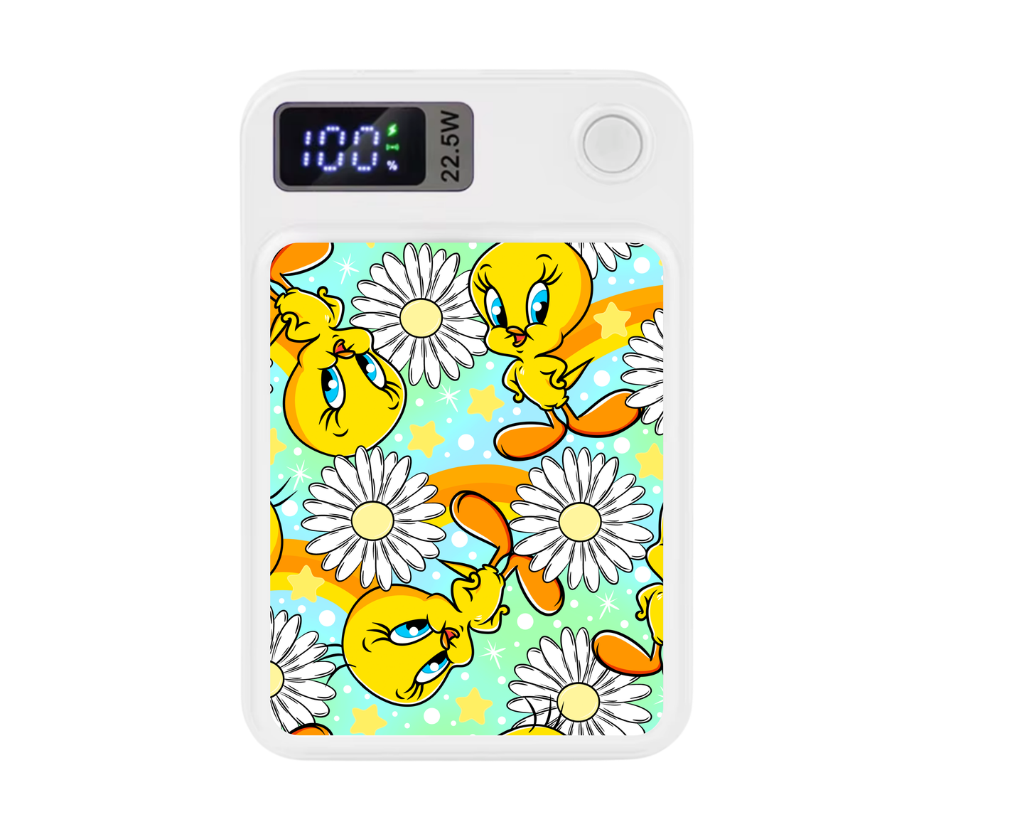 MagSafe Power bank chargers- Birdie