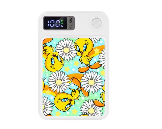 MagSafe Power bank chargers- Birdie