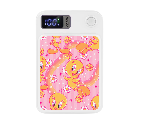 MagSafe Power bank chargers- Retro birdie